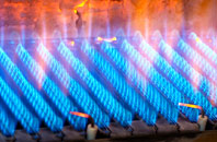 Gwynfryn gas fired boilers